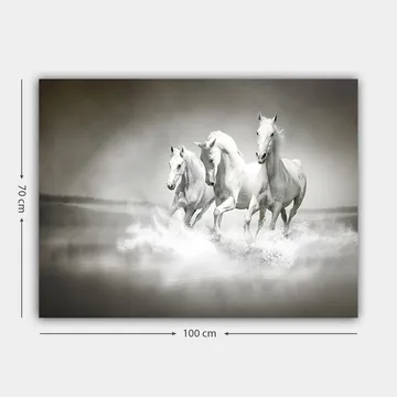Lerretsbilde 70x100 cm - Tre hvite hester galopperer gjennom vann - Hvit / Grå - Interiør - Maleri & posters - Lerretsbilder