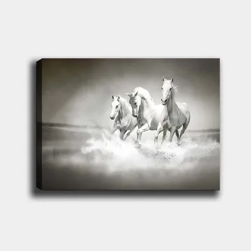Lerretsbilde 70x100 cm - Tre hvite hester galopperer gjennom vann - Hvit / Grå - Interiør - Maleri & posters - Lerretsbilder