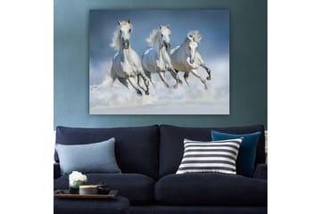 Lerretsbilde 70x100 cm - Tre hvite hester galopperer gjennom vannet - Hvit / Lys blå - Interiør - Maleri & posters - Lerretsbilder
