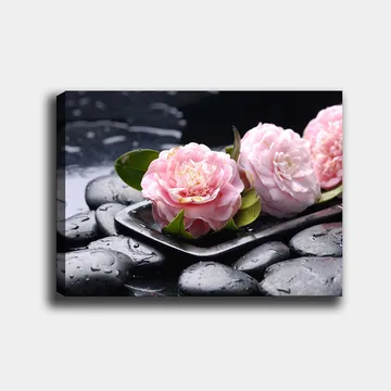 Lerretsbilde 70x100 cm - Tre rosa blomster på en tallerken med svarte steiner og vanndråper - Rosa / Svart / Grønn - Interiør - Maleri & posters - Lerretsbilder