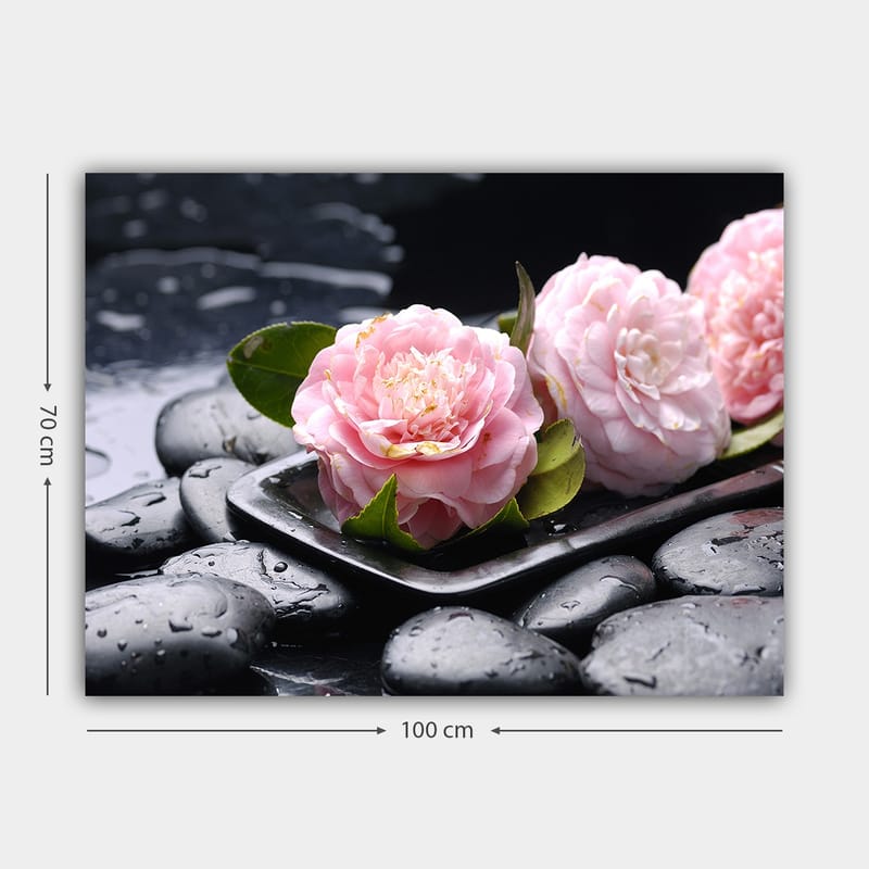 Lerretsbilde 70x100 cm - Tre rosa blomster på en tallerken med svarte steiner og vanndråper - Rosa / Svart / Grønn - Interiør - Maleri & posters - Lerretsbilder