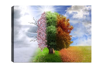 Lerretsbilde 70x100 cm - Trestruktur som representerer de fire årstidene, fra vinter til vår, overgang til sommer og høst - Rosa / Grønn / Oransje - Interiør - Maleri & posters - Lerretsbilder