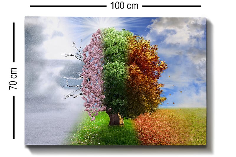 Lerretsbilde 70x100 cm - Trestruktur som representerer de fire årstidene, fra vinter til vår, overgang til sommer og høst - Rosa / Grønn / Oransje - Interiør - Maleri & posters - Lerretsbilder