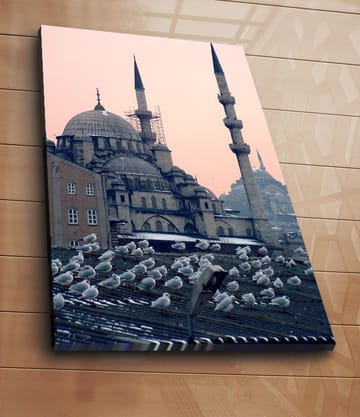Lerretsbilde 70x100 cm - Utsikt over en historisk moské med fugler som sitter på taket - Grå / Blå / Beige - Interiør - Maleri & posters - Lerretsbilder