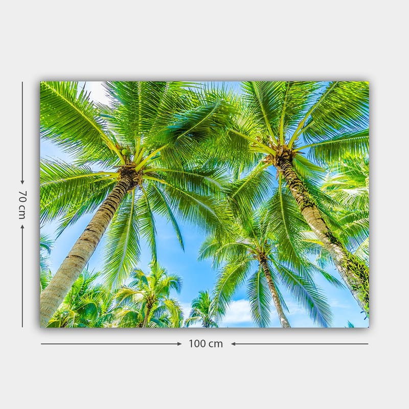 Lerretsbilde 70x100 cm - Utsikt over høye palmer som strekker seg mot en klar blå himmel - Grønn / Blå - Interiør - Maleri & posters - Lerretsbilder