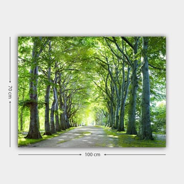 Lerretsbilde 70x100 cm - Vakker allé med trær som skaper en fredelig og innbydende sti - Grønn / Lys grønn / Brun - Interiør - Maleri & posters - Lerretsbilder