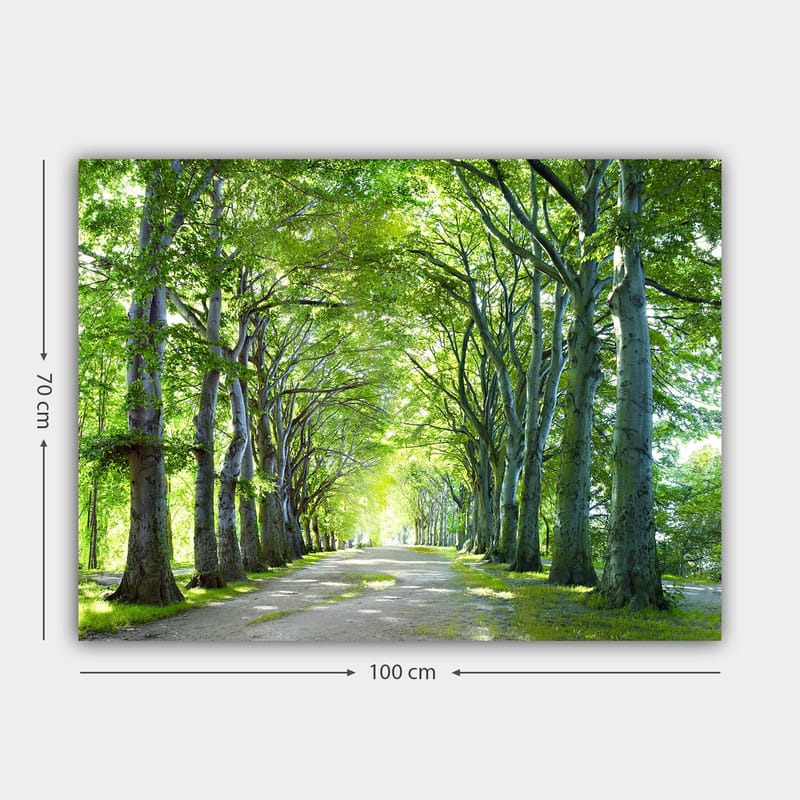 Lerretsbilde 70x100 cm - Vakker allé med trær som skaper en fredelig og innbydende sti - Grønn / Lys grønn / Brun - Interiør - Maleri & posters - Lerretsbilder