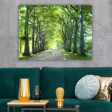 Lerretsbilde 70x100 cm - Vakker allé med trær som skaper en fredelig og innbydende sti - Grønn / Lys grønn / Brun - Interiør - Maleri & posters - Lerretsbilder