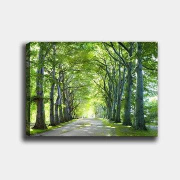 Lerretsbilde 70x100 cm - Vakker allé med trær som skaper en fredelig og innbydende sti - Grønn / Lys grønn / Brun - Interiør - Maleri & posters - Lerretsbilder