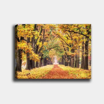 Lerretsbilde 70x100 cm - Vakker allé omgitt av høstfargede trær som fører mot en lysere horisont - Gyllenoransje / Grønn / Brun - Interiør - Maleri & posters - Lerretsbilder