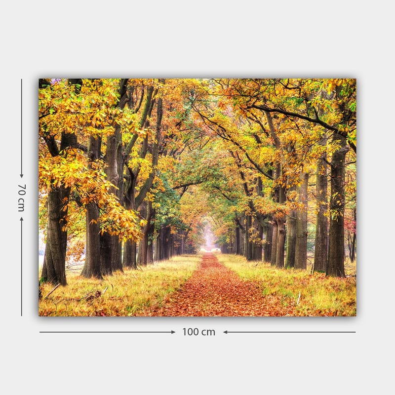 Lerretsbilde 70x100 cm - Vakker allé omgitt av høstfargede trær som fører mot en lysere horisont - Gyllenoransje / Grønn / Brun - Interiør - Maleri & posters - Lerretsbilder