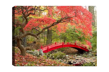 Lerretsbilde 70x100 cm - Vakker bro i rødt omgitt av høstfargede trær og blader - Rød / Grønn / Brun - Interiør - Maleri & posters - Lerretsbilder