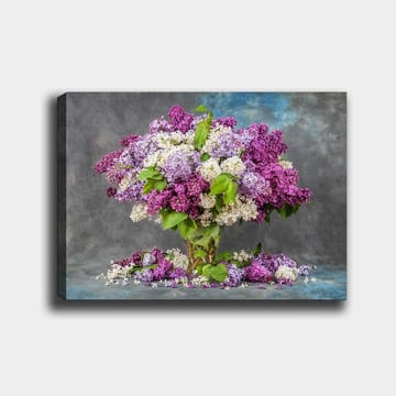 Lerretsbilde 70x100 cm - Vakker bukett med syriner i forskjellige nyanser av lilla og hvitt - Lilla / Hvit / Grønn - Interiør - Maleri & posters - Lerretsbilder