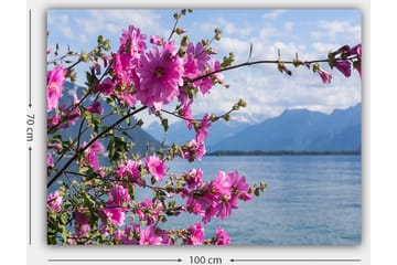 Lerretsbilde 70x100 cm - Vakker gruppe blomster som strekker seg over en innsjø med fjell i bakgrunnen - Rosa / Grønn - Interiør - Maleri & posters - Lerretsbilder