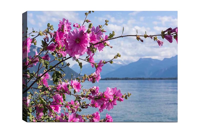 Lerretsbilde 70x100 cm - Vakker gruppe blomster som strekker seg over en innsjø med fjell i bakgrunnen, Rosa / Grønn