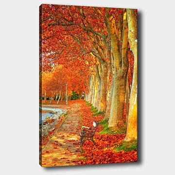 Lerretsbilde 70x100 cm - Vakker høstscene med en benk langs en allé med trær med glitrende røde og oransje blader - Rød / Oransje / Gul - Interiør - Maleri & posters - Lerretsbilder