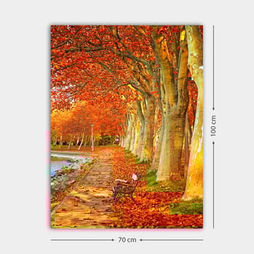 Lerretsbilde 70x100 cm - Vakker høstscene med en benk langs en allé med trær med glitrende røde og oransje blader - Rød / Oransje / Gul - Interiør - Maleri & posters - Lerretsbilder