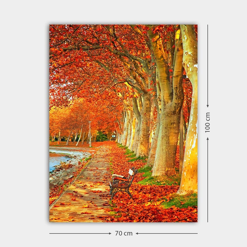 Lerretsbilde 70x100 cm - Vakker høstscene med en benk langs en allé med trær med glitrende røde og oransje blader - Rød / Oransje / Gul - Interiør - Maleri & posters - Lerretsbilder