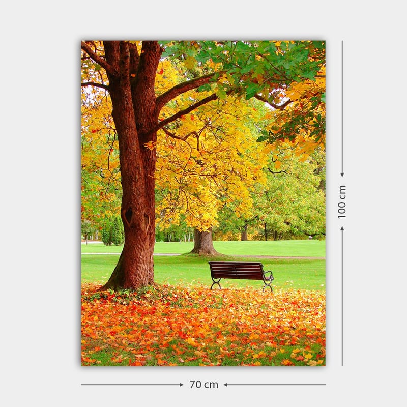 Lerretsbilde 70x100 cm - Vakker høstscene med en benk under et fargerikt tre - Gyllengul / Oransje / Brun - Interiør - Maleri & posters - Lerretsbilder