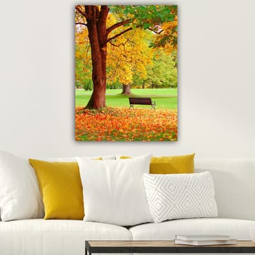 Lerretsbilde 70x100 cm - Vakker høstscene med en benk under et fargerikt tre - Gyllengul / Oransje / Brun - Interiør - Maleri & posters - Lerretsbilder