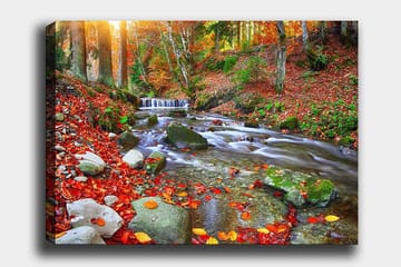 Lerretsbilde 70x100 cm - Vakker høstscene med en rislende bekk omgitt av fargerike høstblader - Rød / Grønn / Brun - Interiør - Maleri & posters - Lerretsbilder