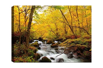 Lerretsbilde 70x100 cm - Vakker høstscene med en rislende bekk omgitt av gylne og røde trær - Gyllengul / Mørkegrønn / Rød - Interiør - Maleri & posters - Lerretsbilder