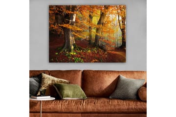 Lerretsbilde 70x100 cm - Vakker høstskog med fargerike trær og falne blader - Oransje / Rød / Brun - Interiør - Maleri & posters - Lerretsbilder