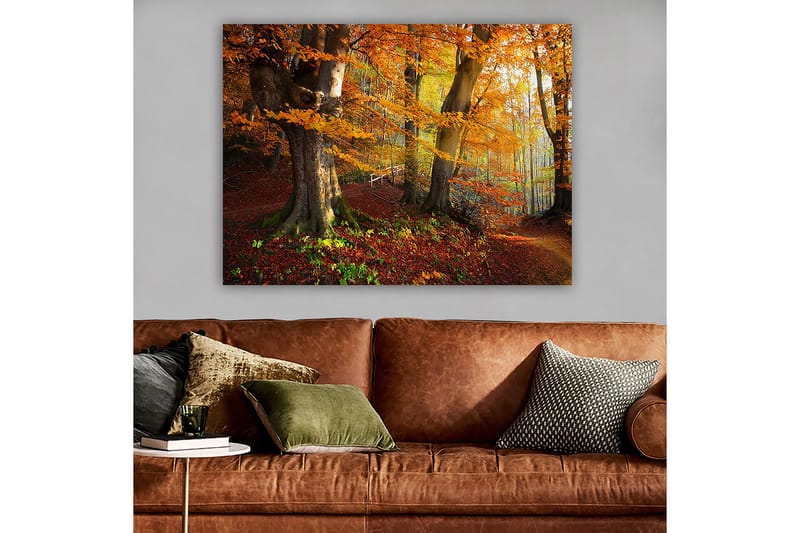 Lerretsbilde 70x100 cm - Vakker høstskog med fargerike trær og falne blader - Oransje / Rød / Brun - Interiør - Maleri & posters - Lerretsbilder
