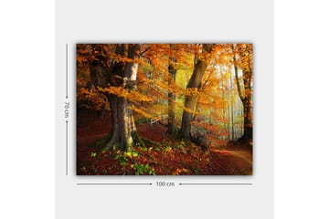 Lerretsbilde 70x100 cm - Vakker høstskog med fargerike trær og falne blader - Oransje / Rød / Brun - Interiør - Maleri & posters - Lerretsbilder