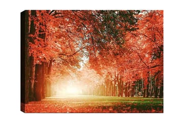 Lerretsbilde 70x100 cm - Vakker høstskog med strålende oransje og røde blader som skaper en varm og innbydende atmosfære - Oransje / Rød / Grønn - Interiør - Maleri & posters - Lerretsbilder