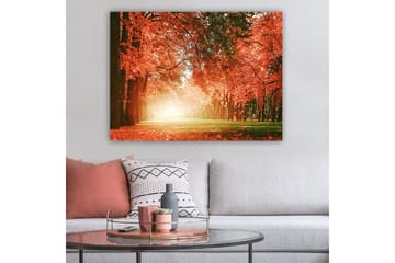 Lerretsbilde 70x100 cm - Vakker høstskog med strålende oransje og røde blader som skaper en varm og innbydende atmosfære - Oransje / Rød / Grønn - Interiør - Maleri & posters - Lerretsbilder