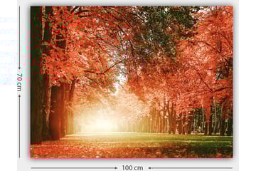 Lerretsbilde 70x100 cm - Vakker høstskog med strålende oransje og røde blader som skaper en varm og innbydende atmosfære - Oransje / Rød / Grønn - Interiør - Maleri & posters - Lerretsbilder