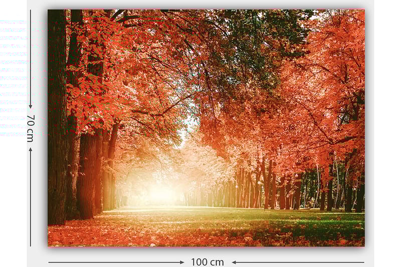 Lerretsbilde 70x100 cm - Vakker høstskog med strålende oransje og røde blader som skaper en varm og innbydende atmosfære - Oransje / Rød / Grønn - Interiør - Maleri & posters - Lerretsbilder