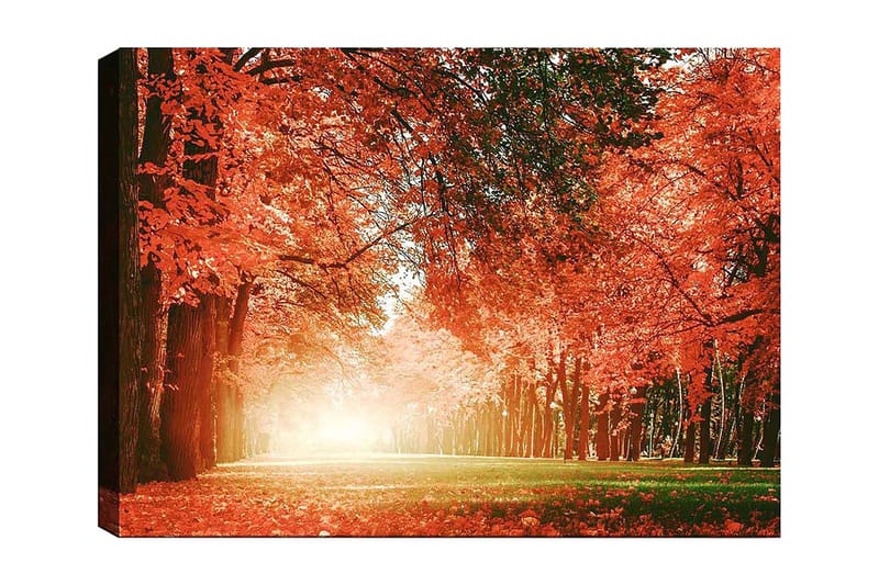 Lerretsbilde 70x100 cm - Vakker høstskog med strålende oransje og røde blader som skaper en varm og innbydende atmosfære, Oransje / Rød / Grønn