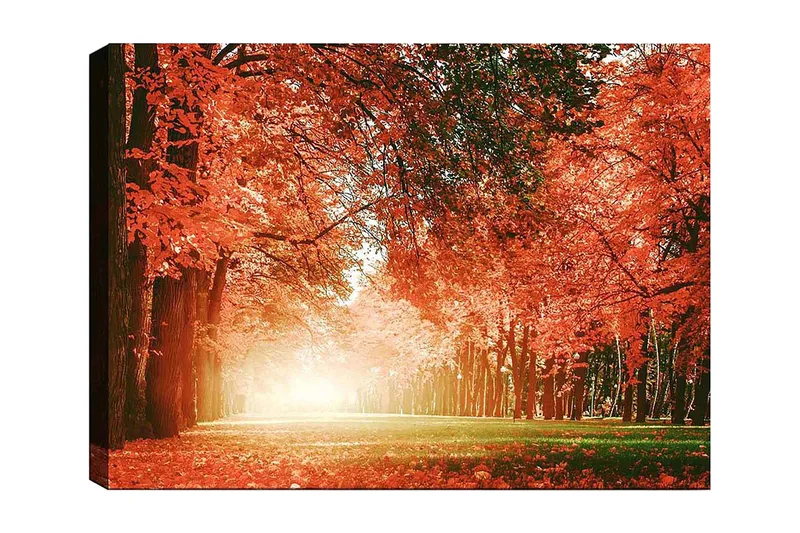 Lerretsbilde 70x100 cm - Vakker høstskog med strålende oransje og røde blader som skaper en varm og innbydende atmosfære, Oransje / Rød / Grønn