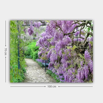 Lerretsbilde 70x100 cm - Vakker hage med blomstrende blåregn som skaper en romantisk og fredelig atmosfære - Lilla / Grønn - Interiør - Maleri & posters - Lerretsbilder