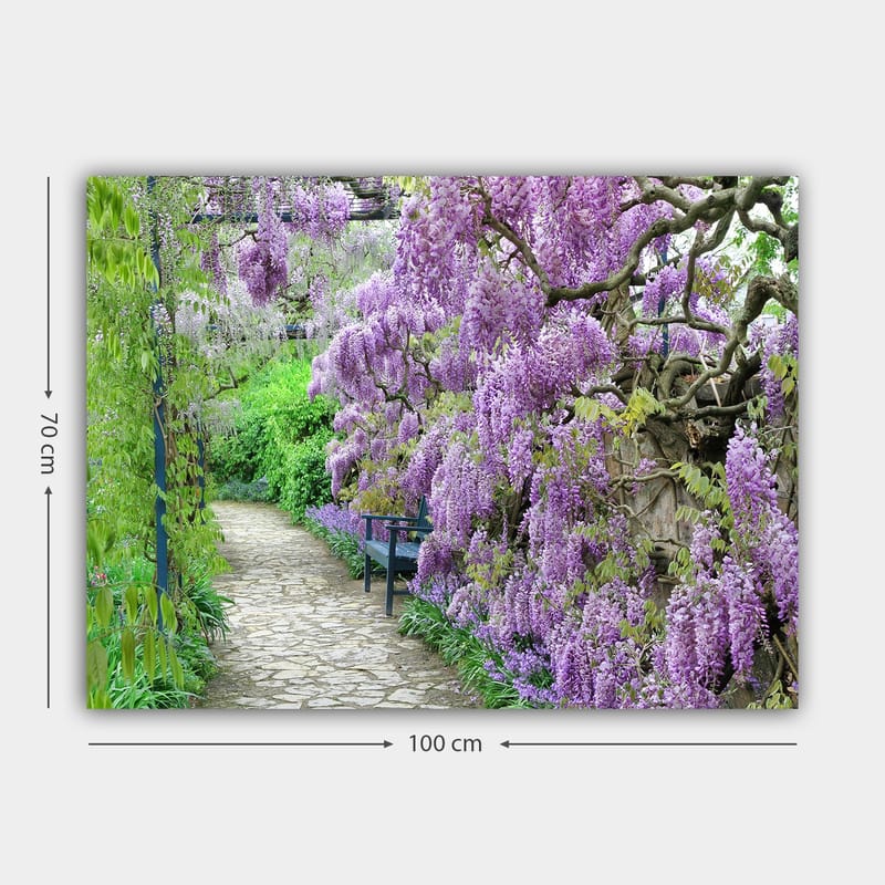 Lerretsbilde 70x100 cm - Vakker hage med blomstrende blåregn som skaper en romantisk og fredelig atmosfære - Lilla / Grønn - Interiør - Maleri & posters - Lerretsbilder