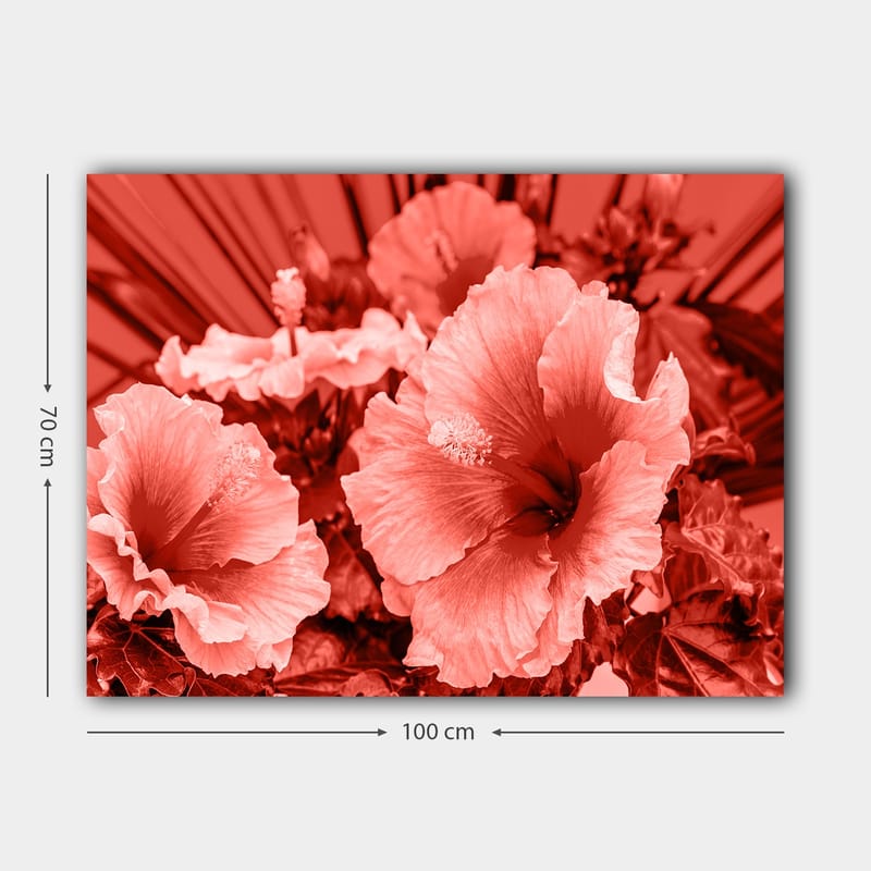 Lerretsbilde 70x100 cm - Vakker komposisjon av hibiskusblomster i forskjellige røde nyanser - Rød / Lys rosa - Interiør - Maleri & posters - Lerretsbilder
