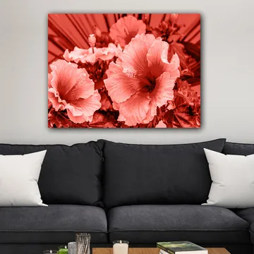 Lerretsbilde 70x100 cm - Vakker komposisjon av hibiskusblomster i forskjellige røde nyanser - Rød / Lys rosa - Interiør - Maleri & posters - Lerretsbilder