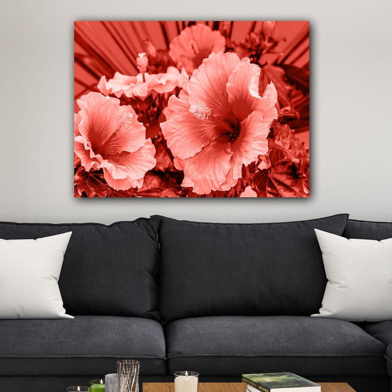 Lerretsbilde 70x100 cm - Vakker komposisjon av hibiskusblomster i forskjellige røde nyanser - Rød / Lys rosa - Interiør - Maleri & posters - Lerretsbilder