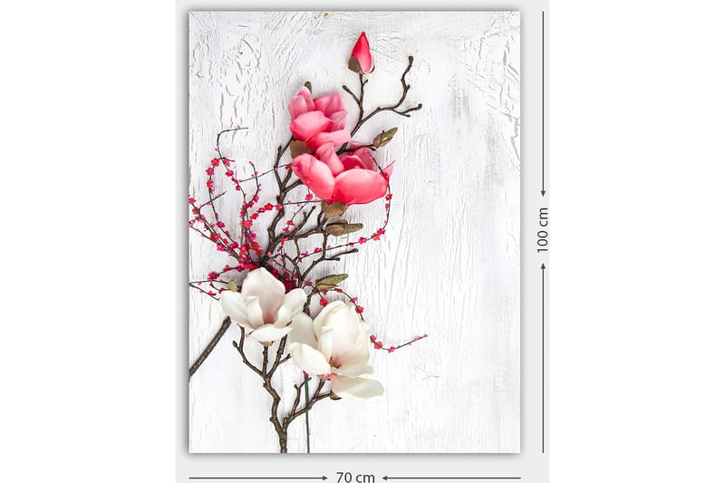 Lerretsbilde 70x100 cm - Vakker komposisjon av magnoliablomster i rosa og hvitt på en diskret bakgrunn - Rosa / Hvit / Grønn - Interiør - Maleri & posters - Lerretsbilder