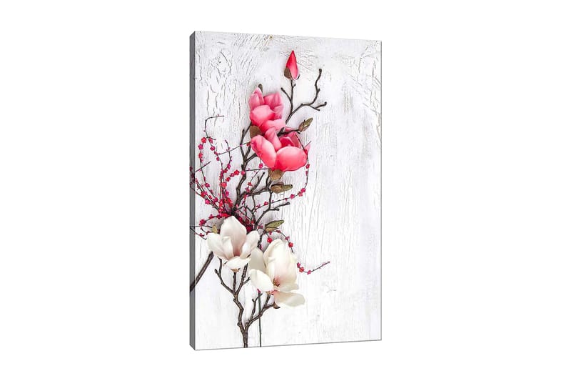 Lerretsbilde 70x100 cm - Vakker komposisjon av magnoliablomster i rosa og hvitt på en diskret bakgrunn, Rosa / Hvit / Grønn