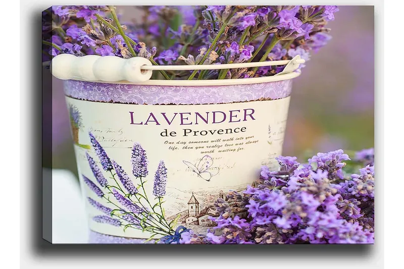 Lerretsbilde 70x100 cm - Vakker lavendelbukett i en dekorativ bøtte - Lilla / Hvit - Interiør - Maleri & posters - Lerretsbilder