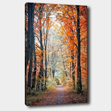 Lerretsbilde 70x100 cm - Vakker skogsti omgitt av høstfarger og trær med gylne og oransje blader - Oransje / Gull / Grønn - Interiør - Maleri & posters - Lerretsbilder