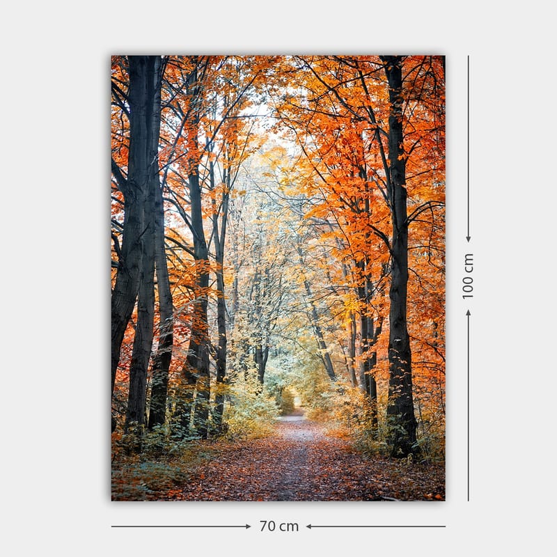 Lerretsbilde 70x100 cm - Vakker skogsti omgitt av høstfarger og trær med gylne og oransje blader - Oransje / Gull / Grønn - Interiør - Maleri & posters - Lerretsbilder