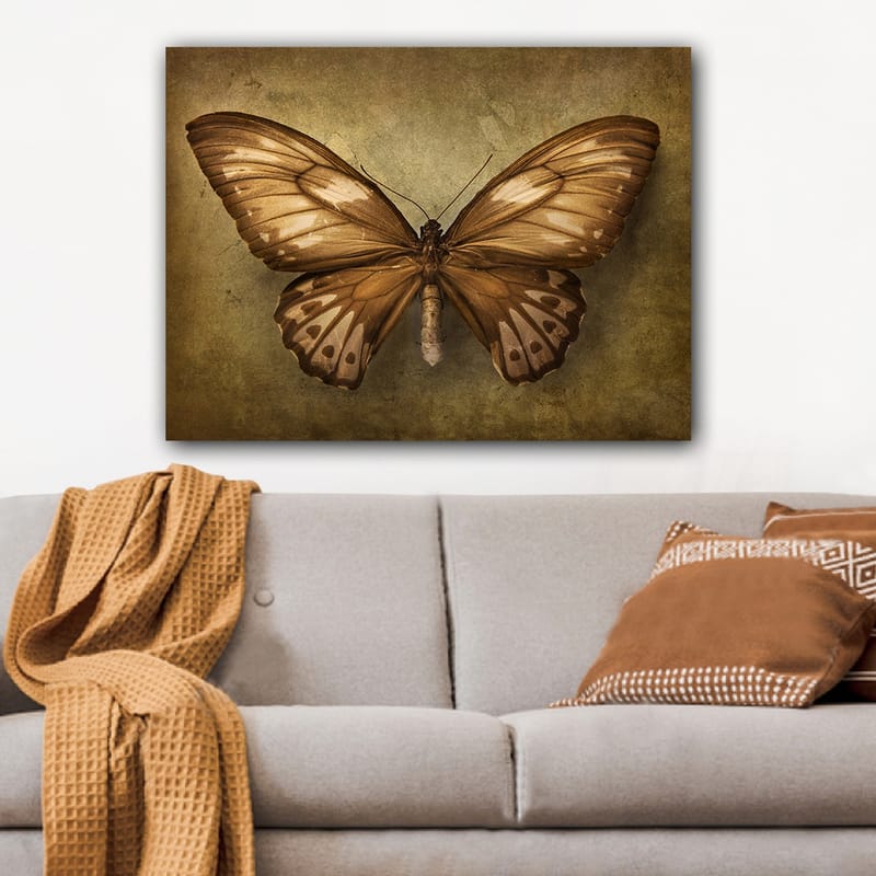 Lerretsbilde 70x100 cm - Vakker sommerfugl med detaljerte vinger i brune og beige nyanser - Brun / Beige - Interiør - Maleri & posters - Lerretsbilder