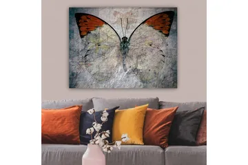 Lerretsbilde 70x100 cm - Vakker sommerfugl med oransje og hvite vinger som fremhever naturens skjønnhet - Oransje / Hvit / Grå - Interiør - Maleri & posters - Lerretsbilder