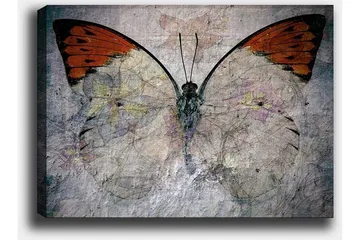 Lerretsbilde 70x100 cm - Vakker sommerfugl med oransje og hvite vinger som fremhever naturens skjønnhet - Oransje / Hvit / Grå - Interiør - Maleri & posters - Lerretsbilder