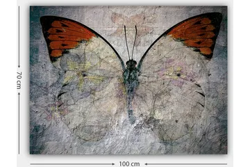 Lerretsbilde 70x100 cm - Vakker sommerfugl med oransje og hvite vinger som fremhever naturens skjønnhet - Oransje / Hvit / Grå - Interiør - Maleri & posters - Lerretsbilder
