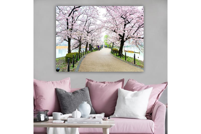 Lerretsbilde 70x100 cm - Vakker sti omkranset av kirsebærtrær i full blomst, Rosa / Grønn / Brun